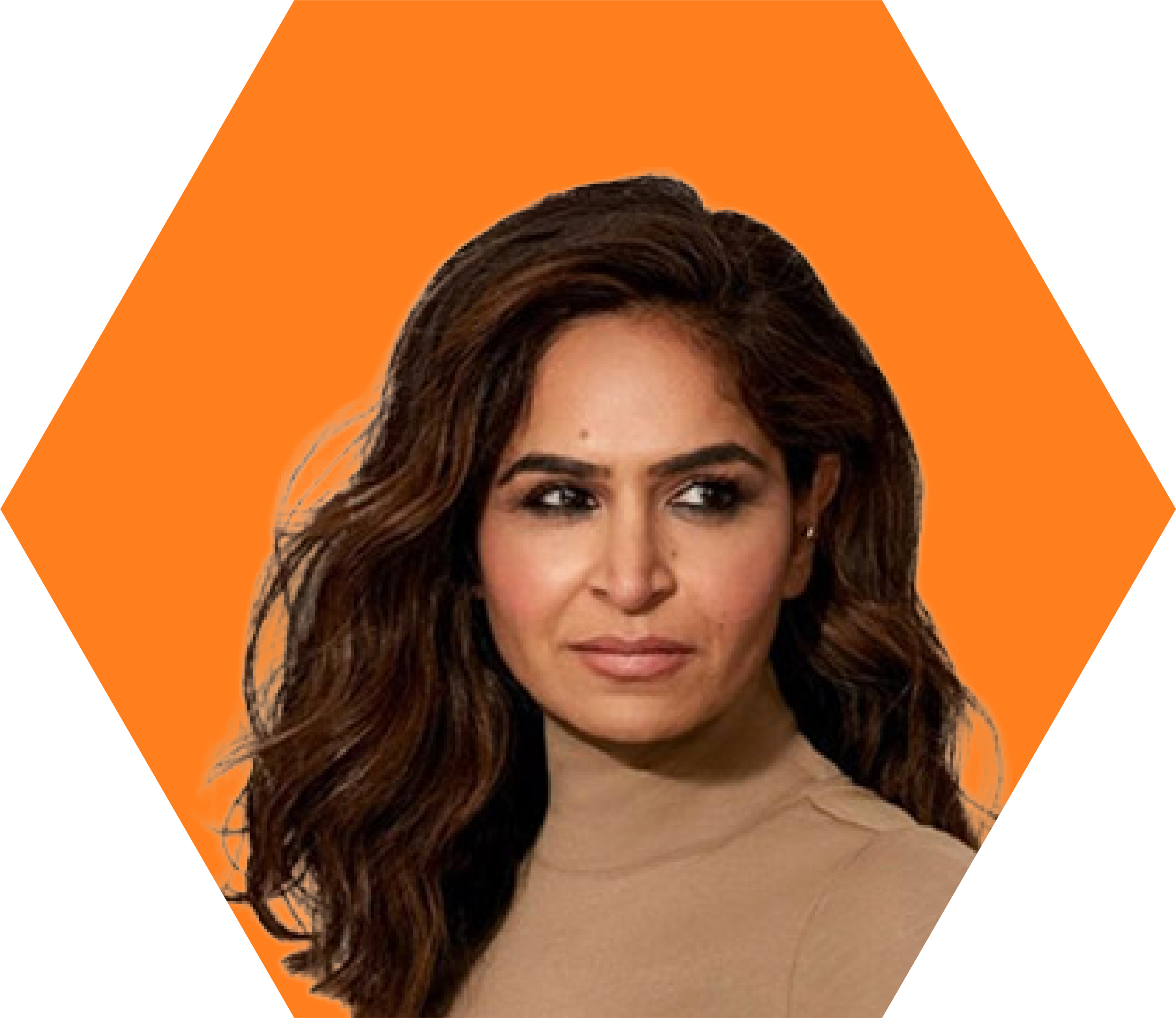 Shaheen Sayed